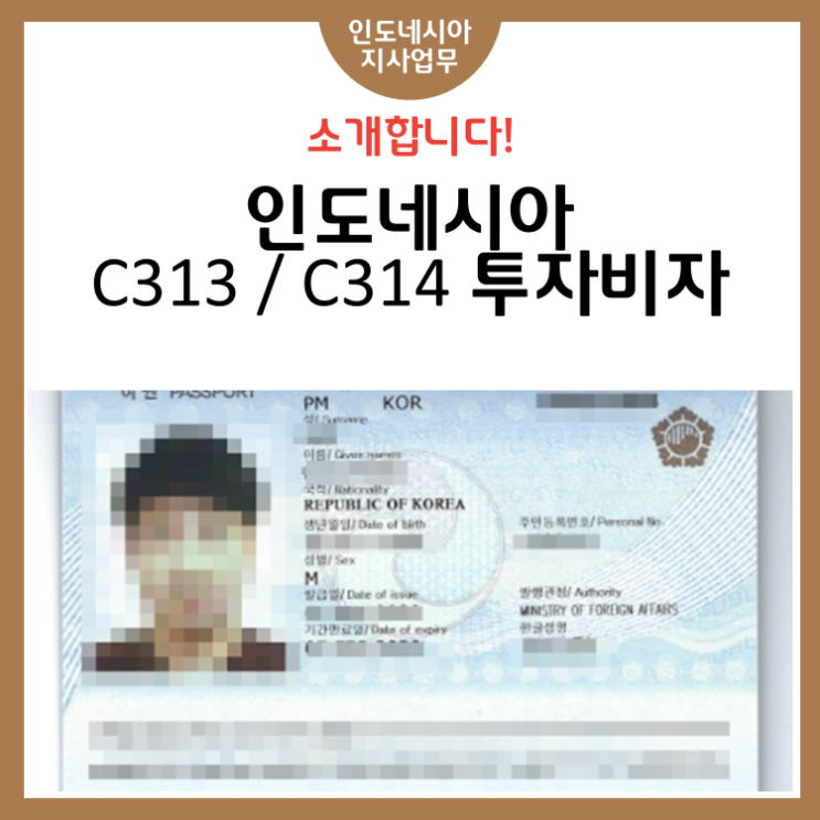 인도네시아 C313 / C314 투자비자 안내 : 네이버 블로그