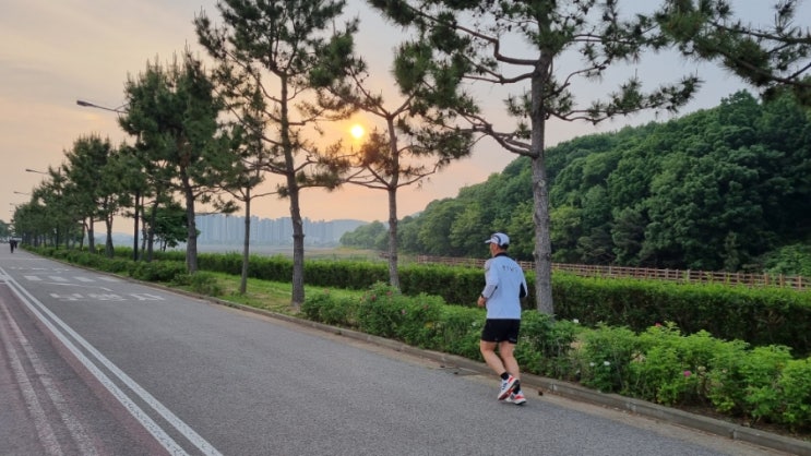 마라톤 시작 2개월 만에 10km 56분 기록 달성! 중년 부부의 건강한 일상