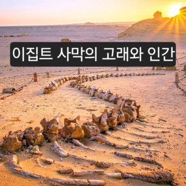 이집트 사막의 고래와 인간, 파이윰 사막