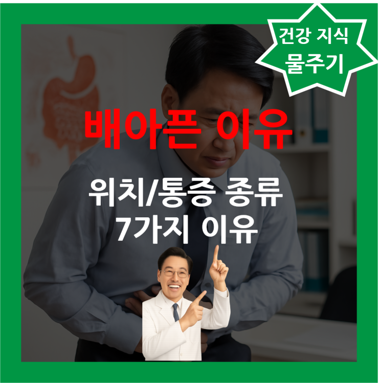 7가지 위치별 배아픈 이유 배 부위별 통증 복통 위치 종류 : 네이버 블로그
