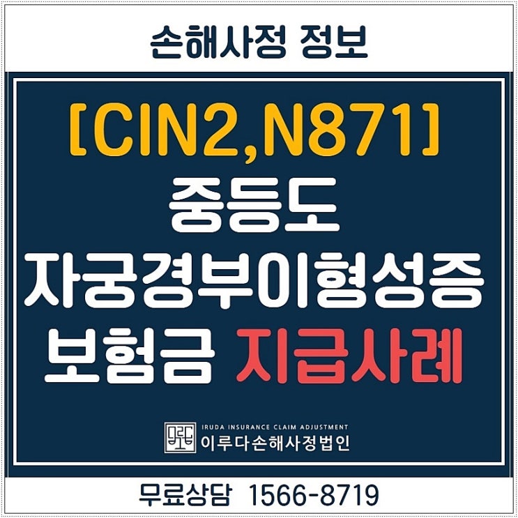 중등도 CIN2 자궁경부이형성증 N871 보험금 분쟁 어지럽네요 : 네이버 블로그