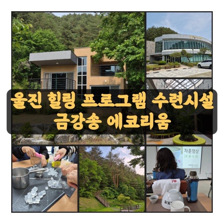 울진 금강송 숨결을 느끼며 금강송 에코리움 1박2일 체험 프로그램 후기(1) : 네이버 블로그