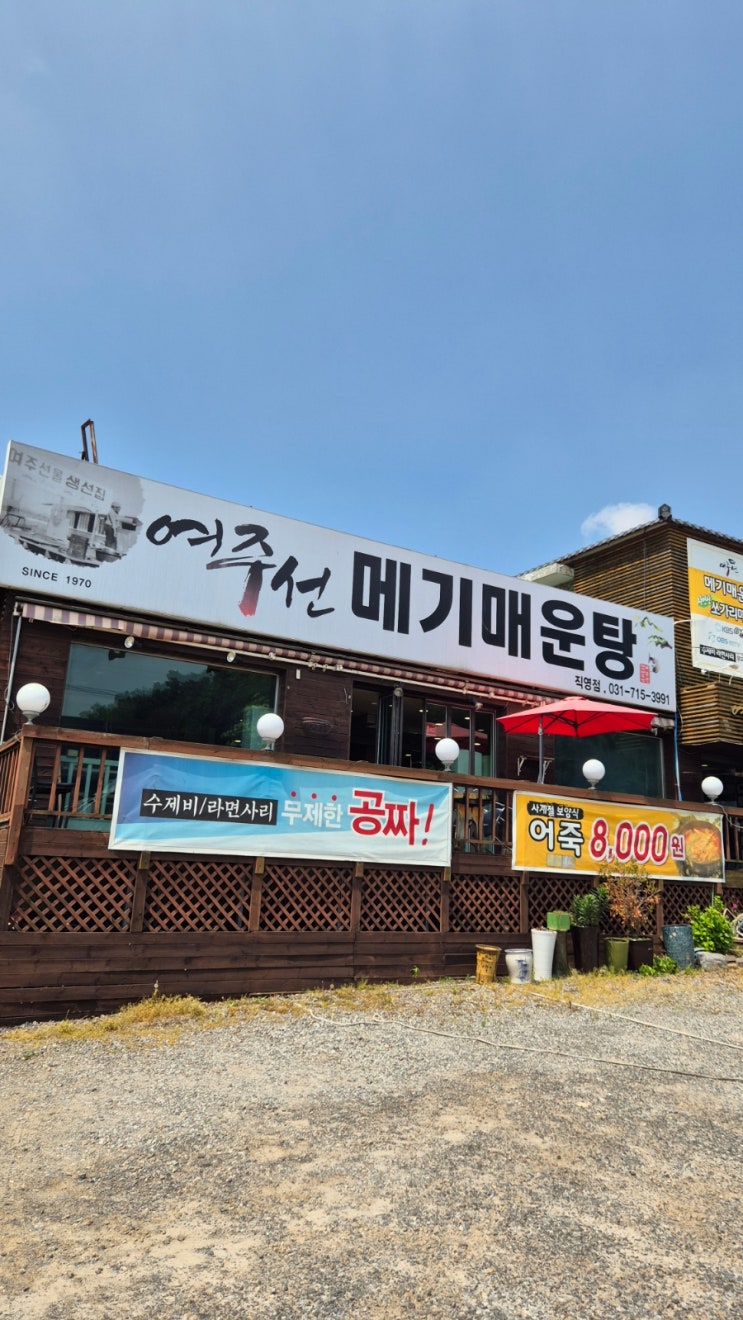경기 광주 맛집 여주선 메기매운탕 메기의 효능 : 네이버 블로그