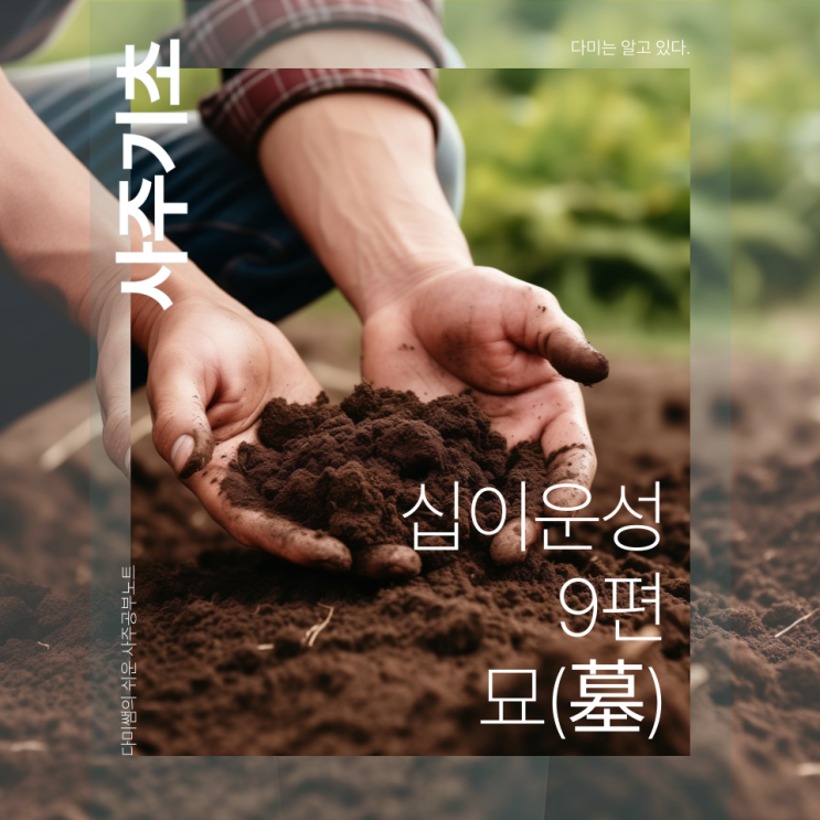 [사주기초] 십이운성 9편 - ‘묘(墓)’- 비움과 축적, 보이지 않는 준비의 시간 : 네이버 블로그