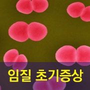 임질 초기증상과 치료, 지금 꼭 알아야 할 정보 : 네이버 블로그