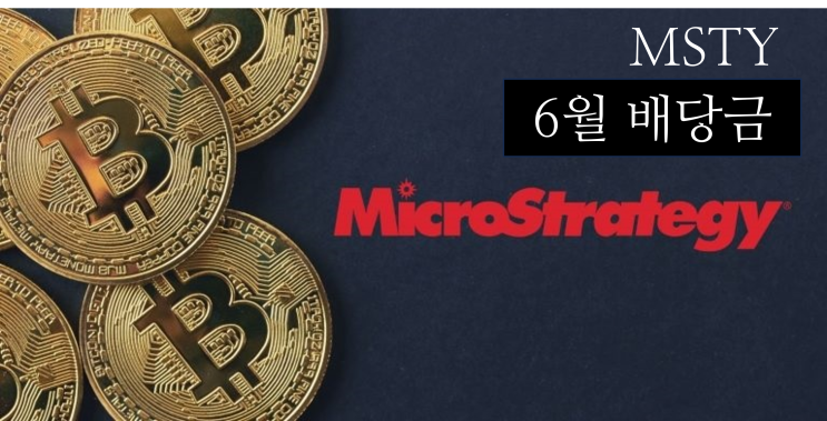 미국 고배당 ETF MSTY 6월 배당금 발표 : 네이버 블로그