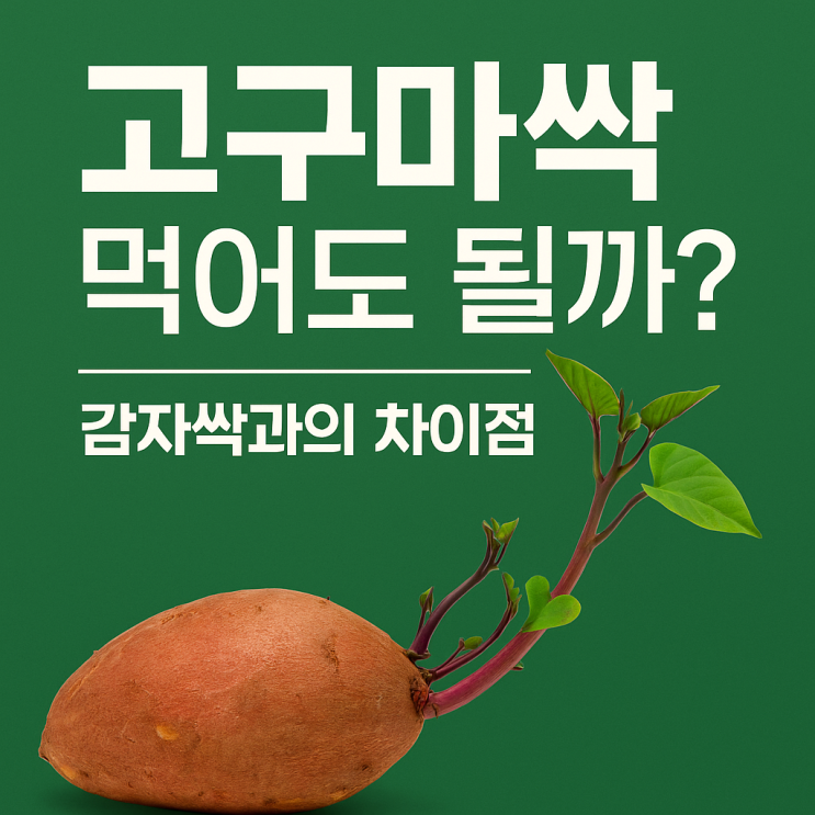 고구마싹, 먹어도 될까? 감자싹과의 차이점 : 네이버 블로그