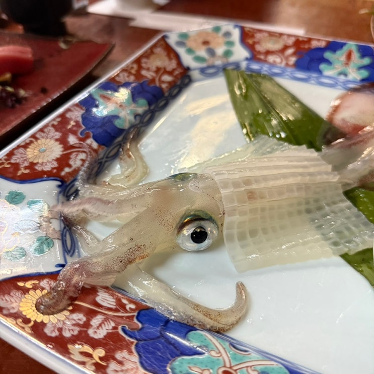 [후쿠오카] 가와타로 오징어 활어회 맛집