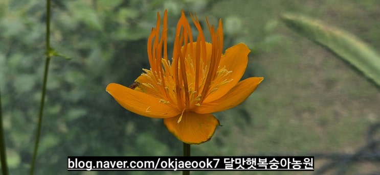 링크 미리보기