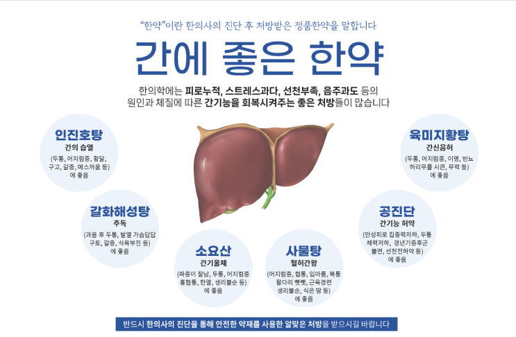 생간건비탕의 효능 효과 및 약재 구성 원리 간에 좋은 한약 나쁜 한약? : 네이버 블로그
