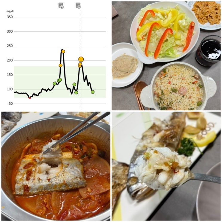 [내돈내산/혈당관리] 프리스타일 리브레2 연속혈당측정기 리뷰 4-5일차 _ 생선, 갈치조림, 햄볶음밥 혈당스파이크 (feat ...