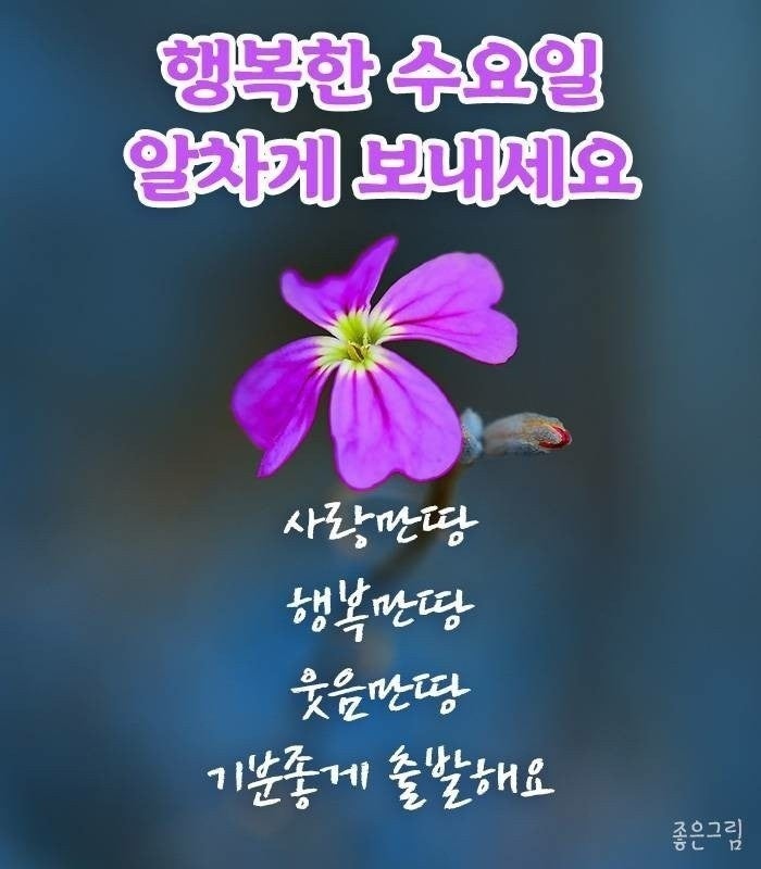 수요일 아침인사말 좋은글 이미지 : 네이버 블로그