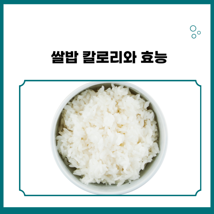 흰쌀밥 (밥한공기)칼로리와 효능 : 네이버 블로그