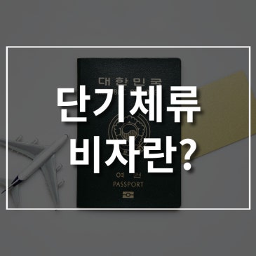 단기체류비자란 무엇인가?