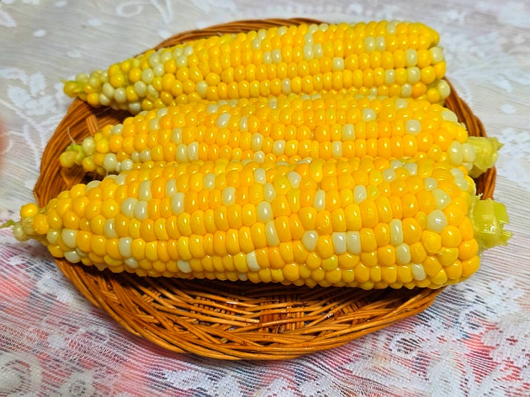 초당옥수수 삶는법 찌는법 간단한 간식 초당옥수수 보관 : 네이버 블로그