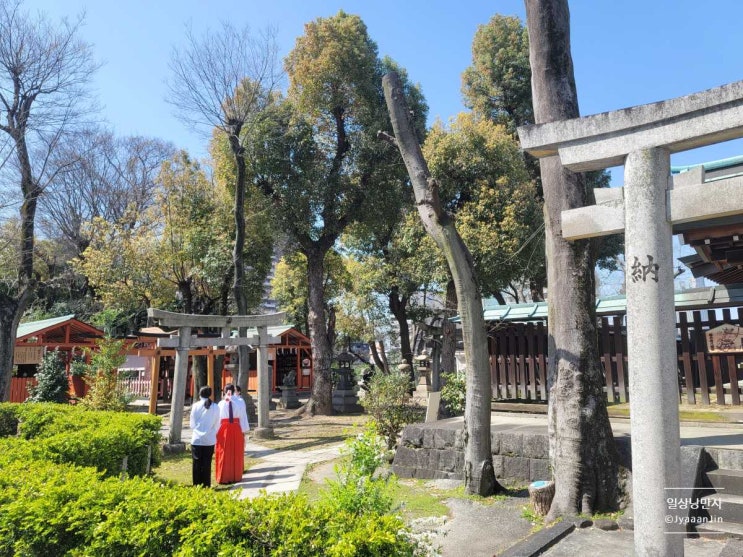 [오사카 텐노지구] 이쿠타마신사(生國魂神社, 이쿠쿠니타마신사) 조....