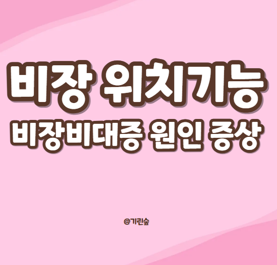 비장 기능 위치 비장비대증 비장비대 증상 원인 : 네이버 블로그