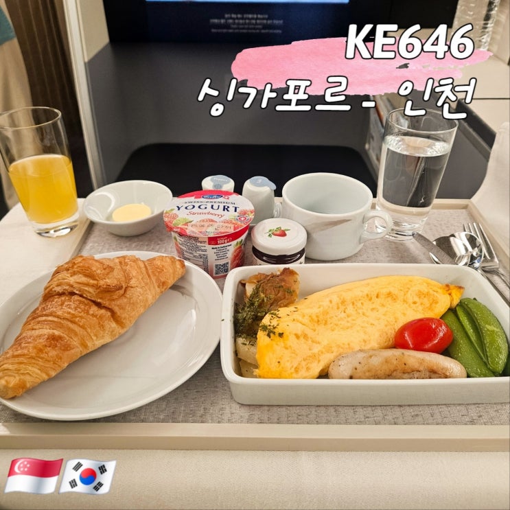 싱가포르-인천 KE646 비즈니스 기내식/공항 미디어아트 : 네이버 블로그