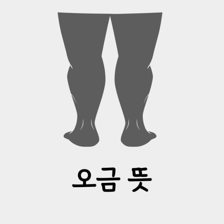 오금 뜻 위치 다리 부위 정확하게 알아보기! 헷갈리지 마세요 : 네이버 블로그