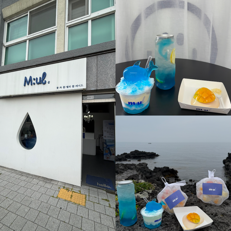제주 물 카페 용암해수 물젤리 제주 디저트 선물로 딱이야 : 네이버 블로그