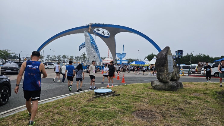 제21회 영덕 해변 전국마라톤대회 코스 후기 포항근처 아이들과 여행하기 좋은곳