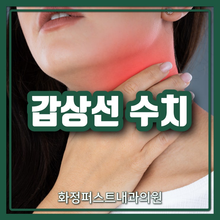화정 갑상선 수치 내리는 방법 : 네이버 블로그