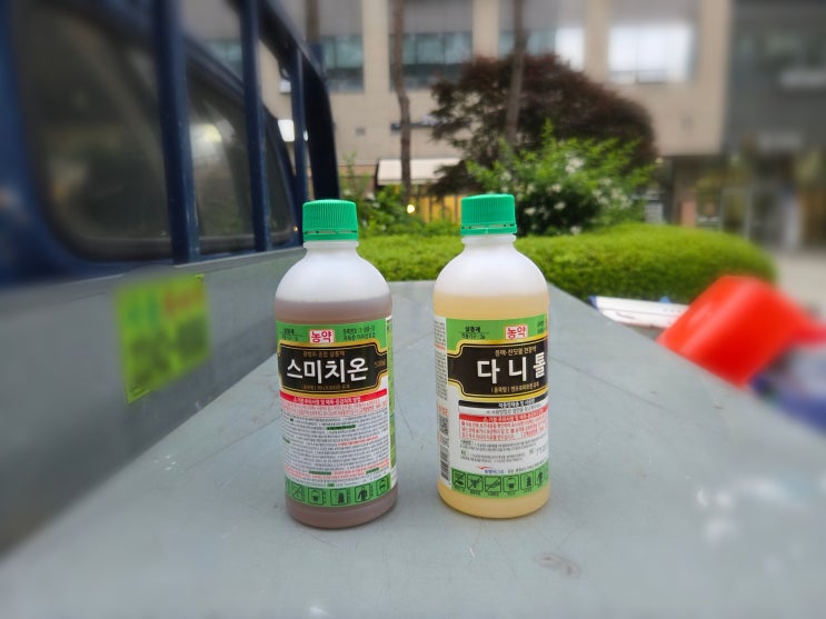 봄철 기본적인 병충해 방제농약 조합 추천 [스미치온&다니톨] : 네이버 블로그