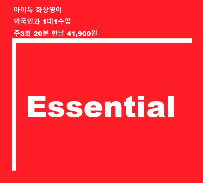 필수적인 영어로 Essential , Necessary , Vital , Indispensable 상황에 따른 표현들 : 네이버 블로그