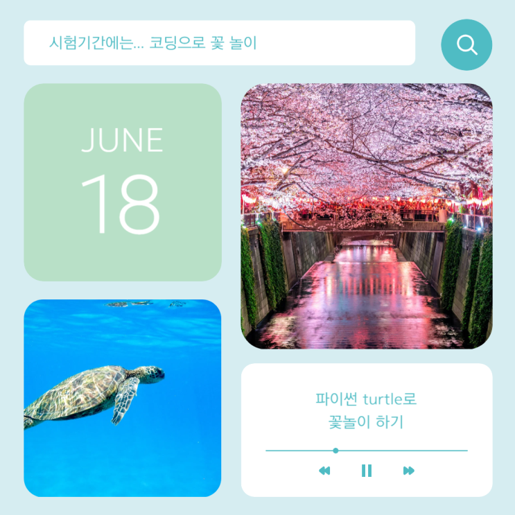 Python 파이썬 turtle로 도형 그리기 - 부제: turtle을 이용한 꽃놀이 : 네이버 블로그