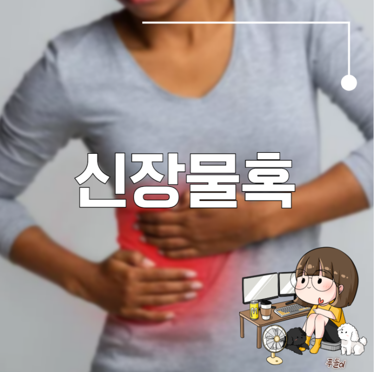 신장물혹 원인 주의점 : 네이버 블로그
