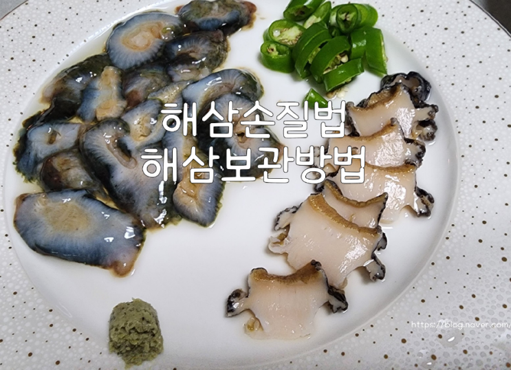 해삼손질법 해삼보관방법 : 네이버 블로그