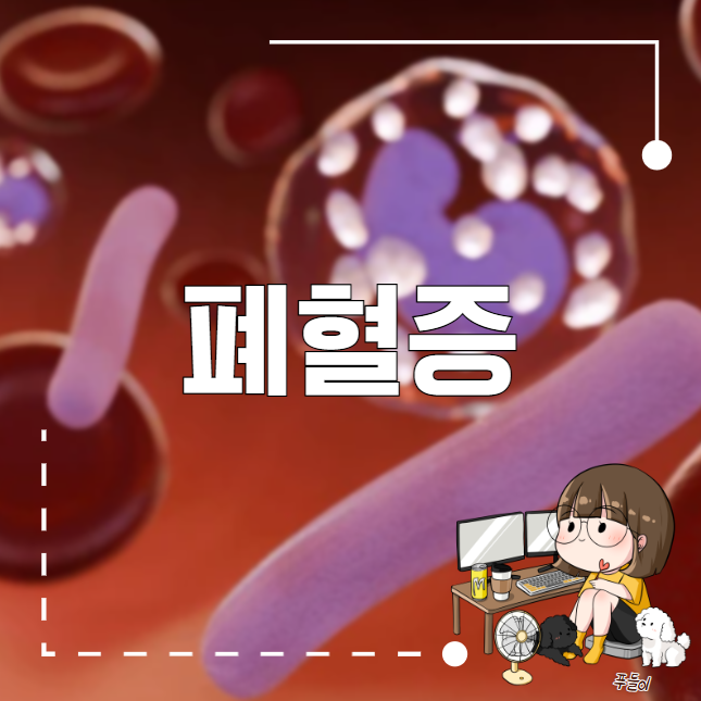 폐혈증 , 패혈증 증상 및 원인 : 네이버 블로그