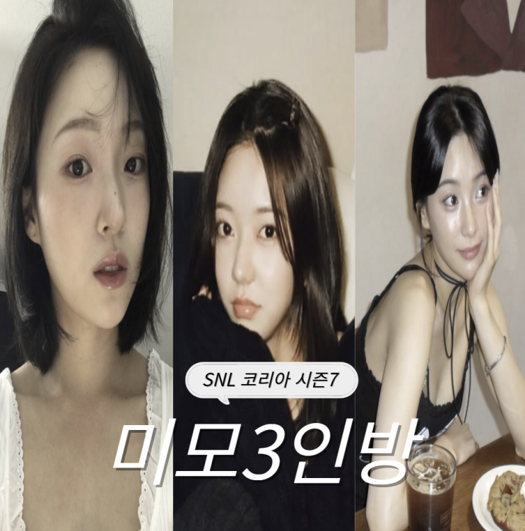 SNL 여자 출연진 차경은, 조민경, 아라타모모코 프로필 나이 직업 정리 : 네이버 블로그