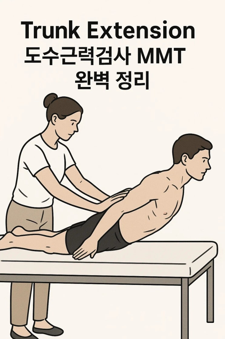 Trunk Extension – 도수근력검사 MMT 완벽 정리 : 네이버 블로그