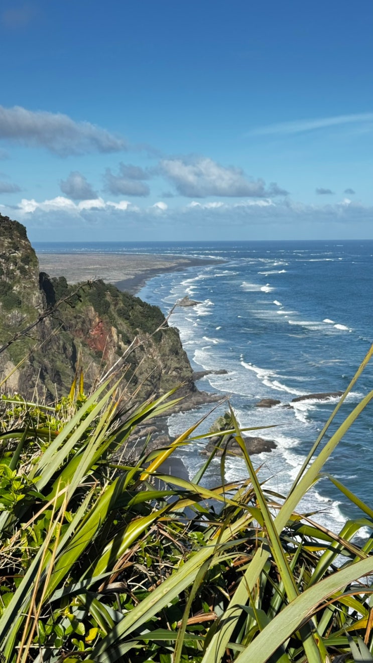 홀리데이 하이킹 Karekare beach Comans track
