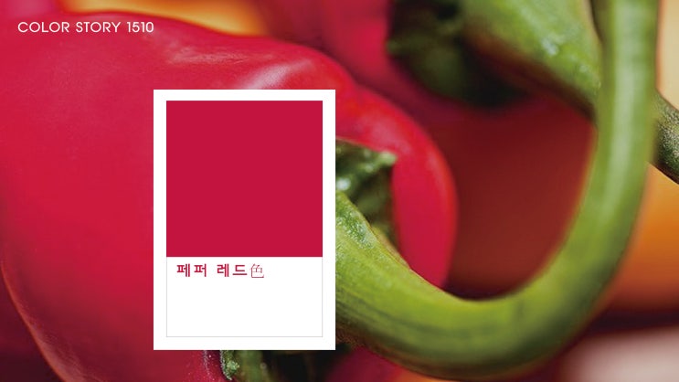 6월 28일 오늘의 탄생色 ‘페퍼 레드色’ : 네이버 블로그