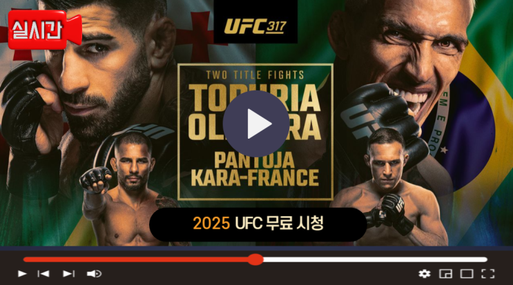 UFC 317 포스터