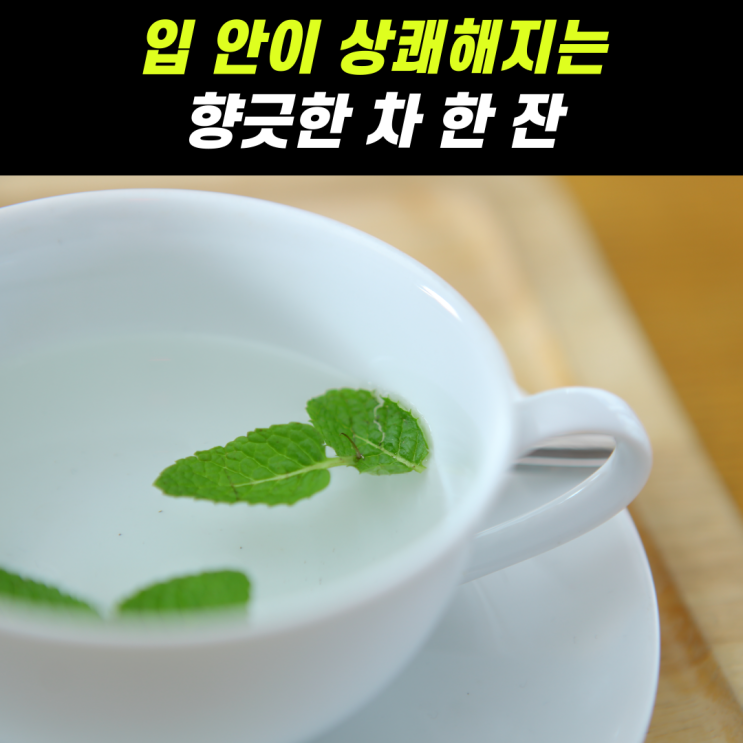 박하차효능, 입냄새·소화불량 한 번에 잡는다 : 네이버 블로그