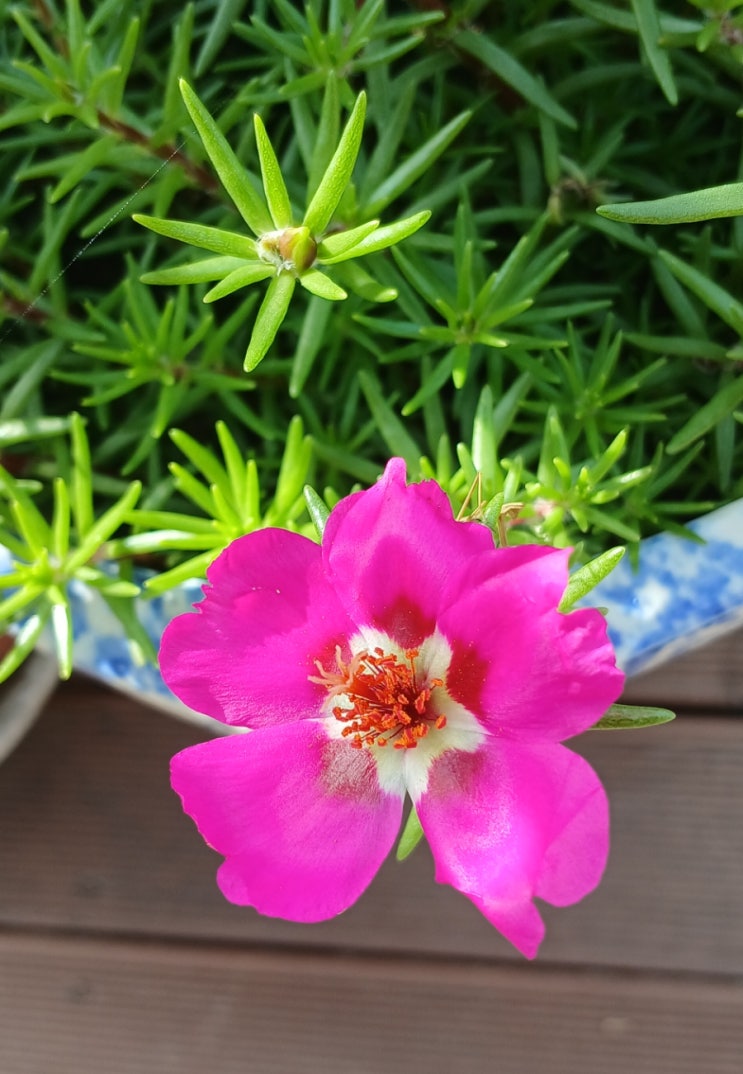 삶이 다 그렇지요. 행, 불행의 퍼즐 맞추기가 우리의 일상 : 네이버 블로그