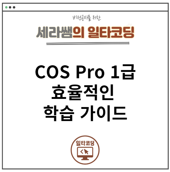 코딩자격증 COS Pro 1급 효율적인 학습 가이드(with 문제풀이 사이트 추천) : 네이버 블로그