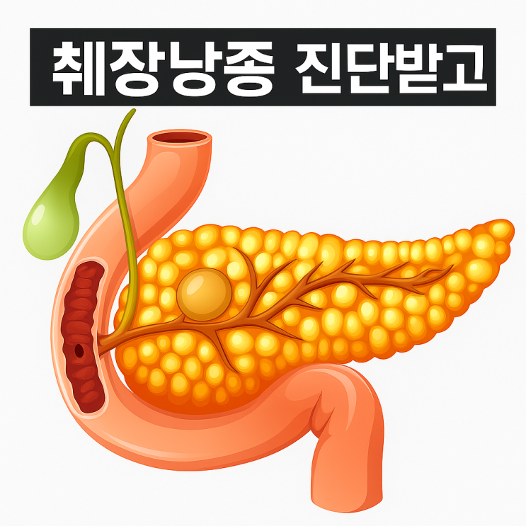 1.9cm 췌장 장액성낭종 진단 후 알게 된 사실들 : 네이버 블로그