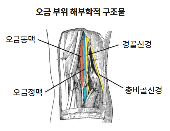 무릎 뒤 오금통증 땡김 찌릿, 치료 받아도 잘 안 낫는 이유, 원인 증상 치료 병원 : 네이버 블로그