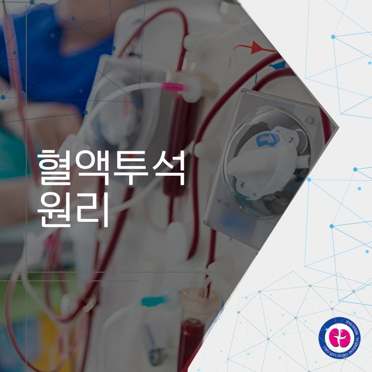 혈액투석 원리의 핵심 : 네이버 블로그