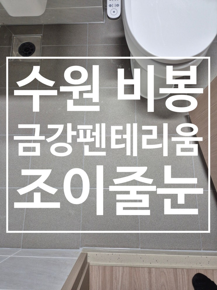 비봉 금강펜테리움 시공 사진