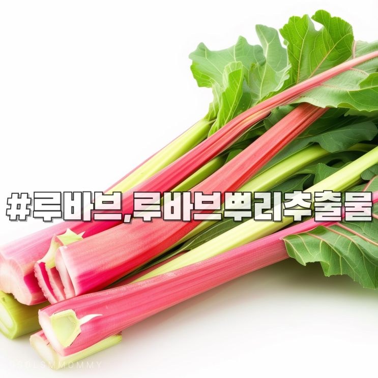 루바브, 여성호르몬 대신 선택받는 식물 루바브뿌리추출물 : 네이버 블로그