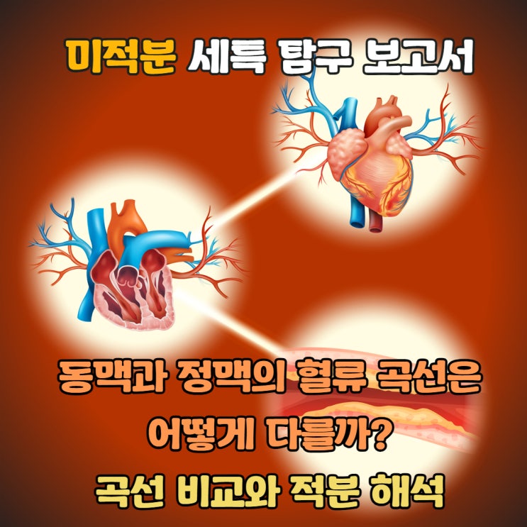 [의학 생명] 미적분 세특 탐구 보고서 - 동맥과 정맥의 혈류 곡선은 어떻게 다를까? 곡선 비교와 적분 해석 : 네이버 블로그