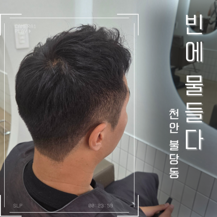 머리에 물들다 사진