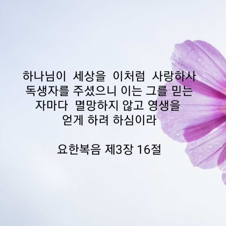 매일하는 성경말씀 : 네이버 블로그