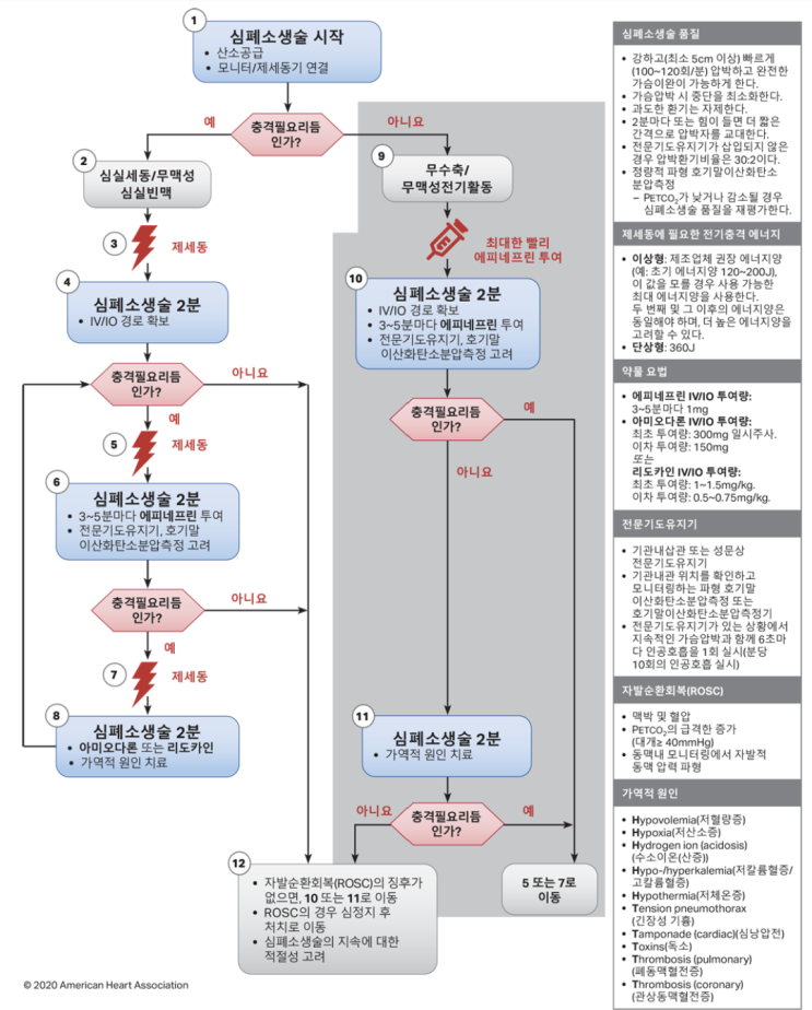 의료진을 위한 ACLS 심폐소생술(CPR) 매뉴얼 : 네이버 블로그