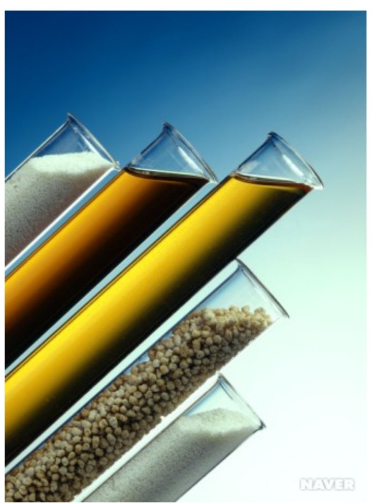 레시틴 식품첨가물 lecithin : 네이버 블로그